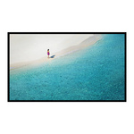 Ekran projekcyjny BlitzWolf BW-VS4 100"