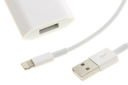 Original Apple Charger iPhone 5S 6 6S 7 8 Plus