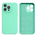 Funda de silicona para iPhone 13 Pro Max cubierta de silicona verde menta