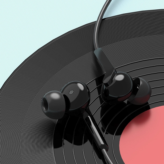 Dudao X3C+ kabelgebundener USB-C In-Ear-Kopfhörer 1,2 m – Schwarz