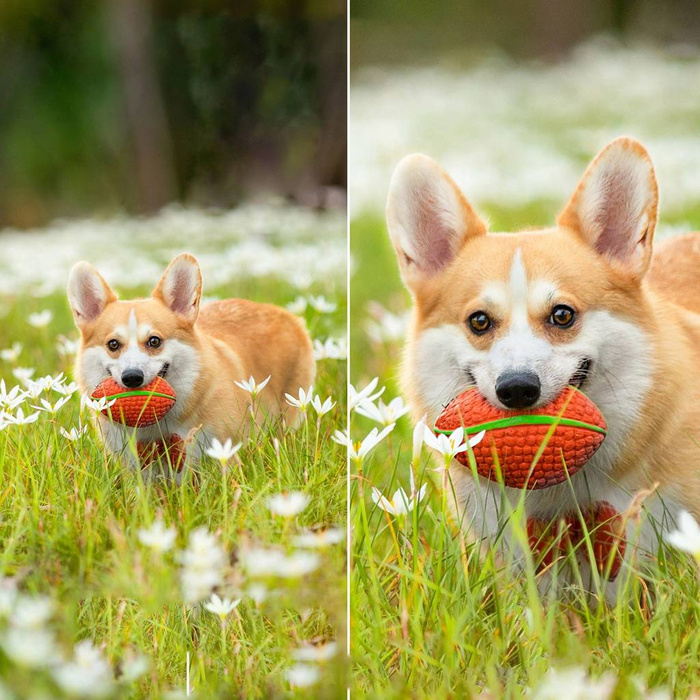 Kamera Choetech WiFi s ovládací aplikací pro Android/iOS + 5W solární panel (ASC005)