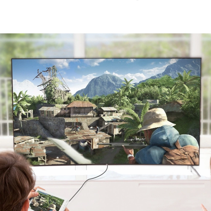 Ugreen Kabel Micro HDMI - HDMI Kabel 3m schwarz (HD127)