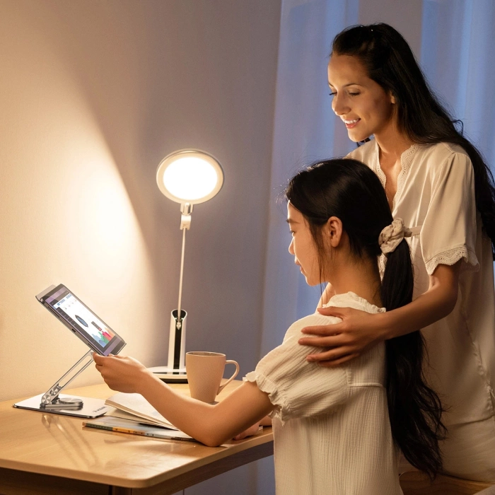 Wozinsky WRS-CPY84SS Aluminium-Laptopständer + Gratis! Smartphone-Ständer – Silber