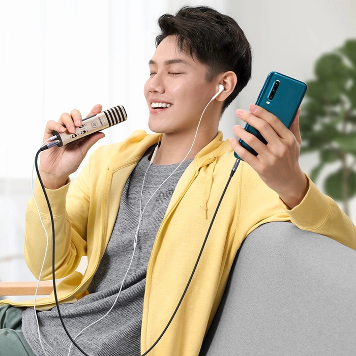 Ugreen cable AUX mini jack 3.5mm cable (male) - 3.5mm mini jack (male) 2m black (AV183)