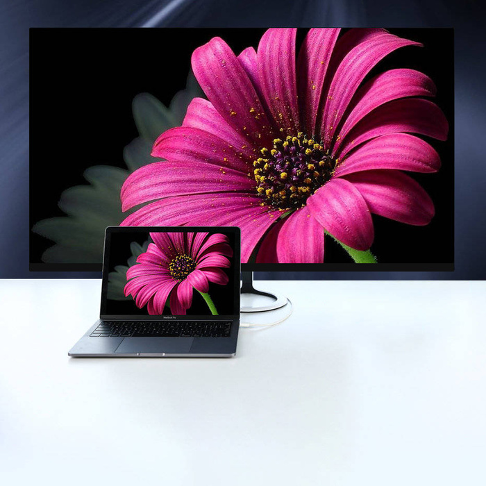 Ugreen unidirektionales USB Typ C zu Display Port 4K 1,5 m Adapterkabel weiß (MM139)