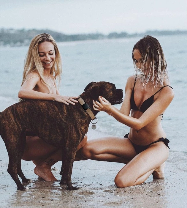 Apple AirTag Silikonhülle für Hunde- oder Katzenhalsband - Schwarz