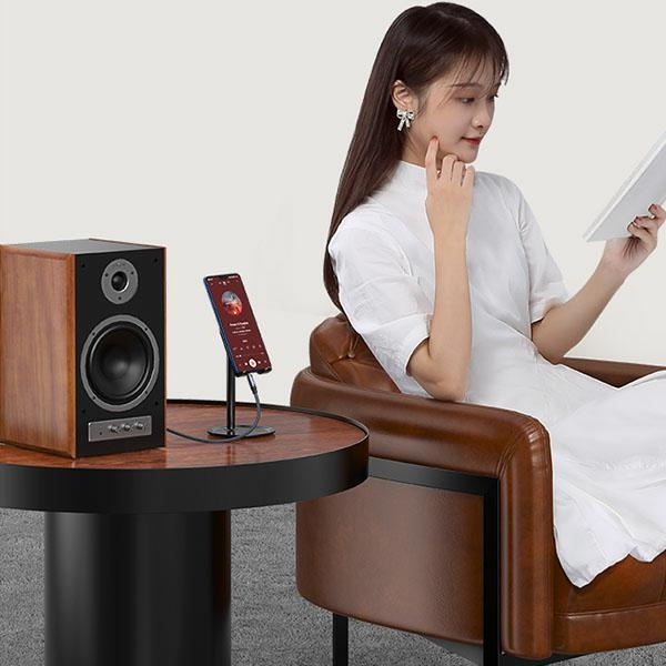 USAMS Audio-Klinkenadapter 3,5 mm - 6,35 mm 1,2 m schwarz / schwarz SJ539YP01 (US-SJ539)