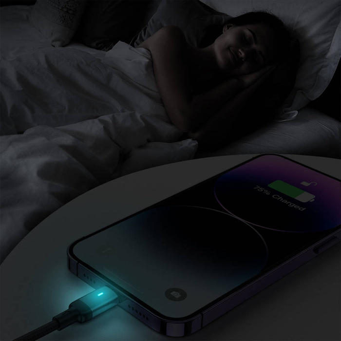 Câble Joyroom USB - Lightning 2.4A Série A10 1.2 m noir (S-UL012A10)