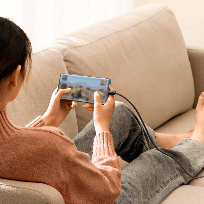 Câble USB Baseus Dynamic Series - USB Type C 100W 1m gris (CALD000616)