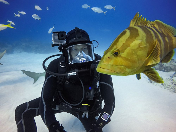 Puzdro TECH-PROTECT Vodotesné puzdro Gopro Hero 5/6/7 Clear