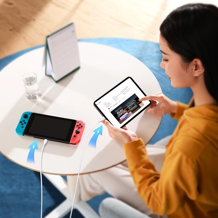 Câble USB-C vers USB-C UGREEN 15172 (blanc)