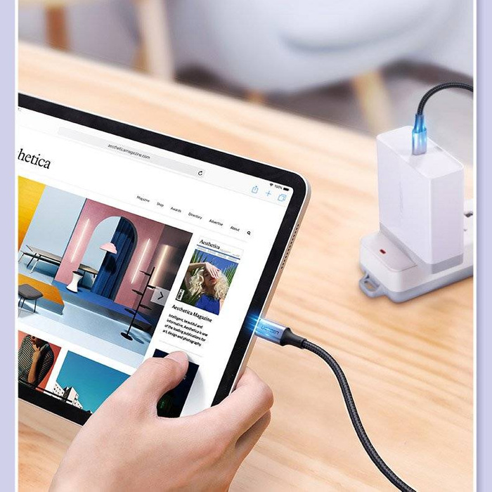 Ugreen Kabel USB Typ C - USB Typ C 5 A 100 W Power Delivery Quick Charge 3.0 FCP 480 Mbps Kabel 2 m grau (70429 US316)