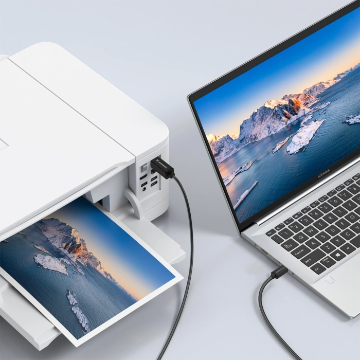 Kabel Wozinsky WKDDY1S USB-B - USB-C 1m - czarny