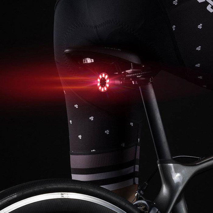 Lampe LED de vélo arrière Wozinsky charge micro USB lumière rouge 5 modes de travail noir (WRBLB2)