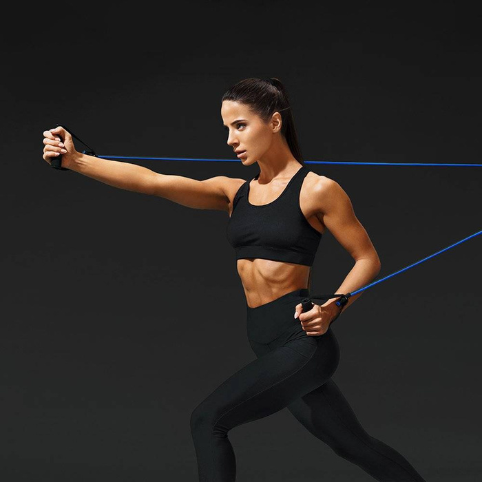 Wozinsky 11 Pack Exercise Resistance Bands with Handles Exercise Stretch Fitness Home Set Include 5 Stackable Exercise Bands with Carry Bag (WRTS5-01)