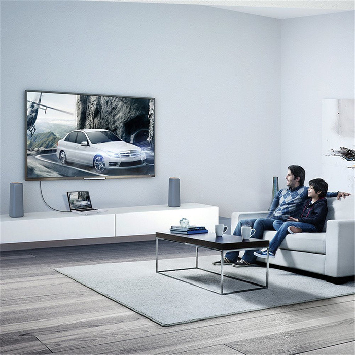 Cable DisplayPort - DisplayPort Ugreen DP102 4K 1m - negro