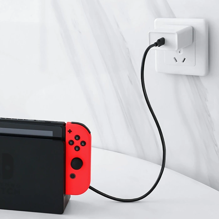 Ugreen câble USB Type C pour la charge et le transfert de données 3A 0.5m noir (US286)