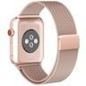 Remienok TECH-PROTECT Milaneseband Apple Hodinky 1/2/3/4 (38/40 mm) zlaté